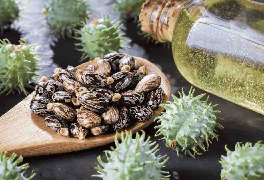 Castor Oil for Anal Fissures​