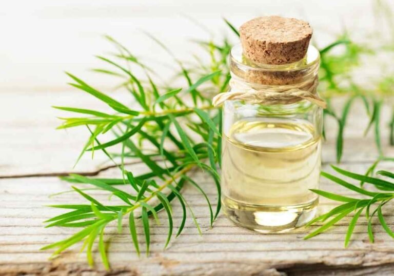 Tea Tree Oil
